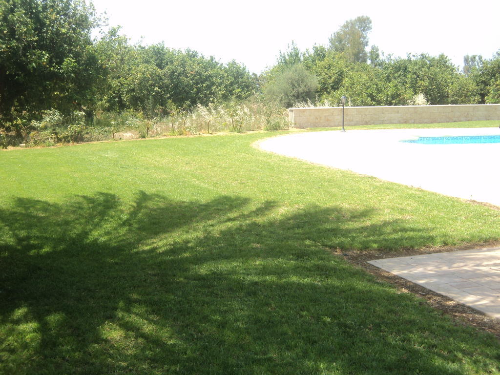 Citrus Grove Villa Argaka Camera foto
